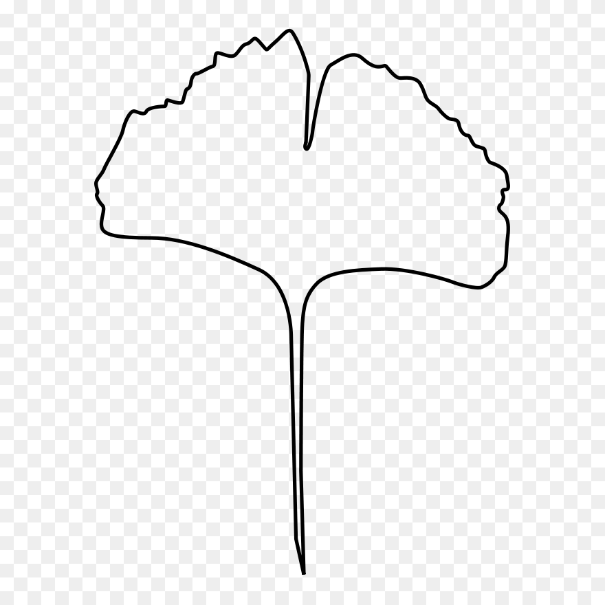 Leaf Outline Clip Art Black And White Clipart - Maidenhair Tree - Png Download