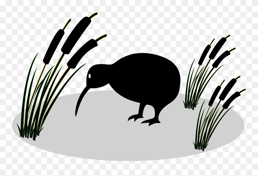 Kiwi Bird Cartoon Clipart