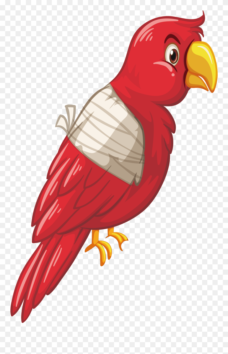 Parrot Clipart Psd - Parrot Clipart - Png Download