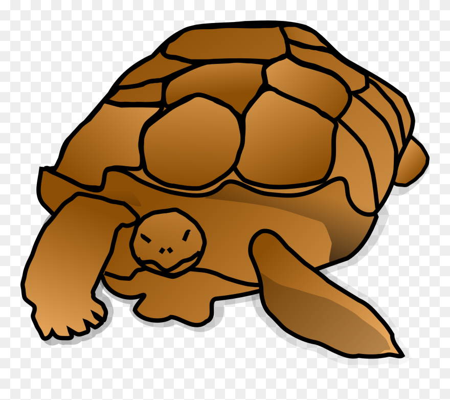 Turtle Cartoon Clipart