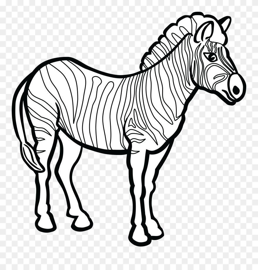 Black And White Zebra Clipart - Png Download