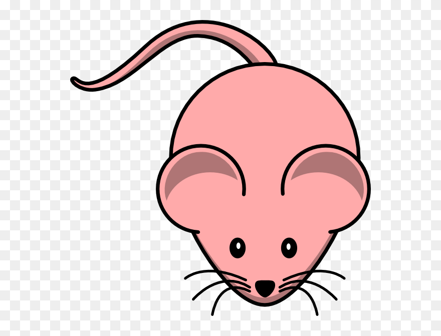 Girl Mouse Boy Mouse Clipart - Female Mouse Clipart - Png Download