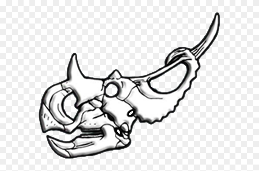 Spinops Skull Diagram - Illustration Clipart