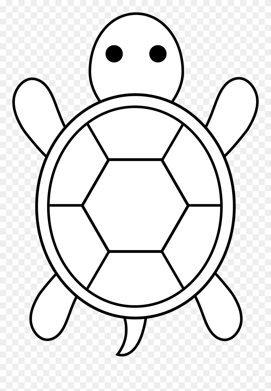 Cartoon Sea Turtle Drawing Clipart