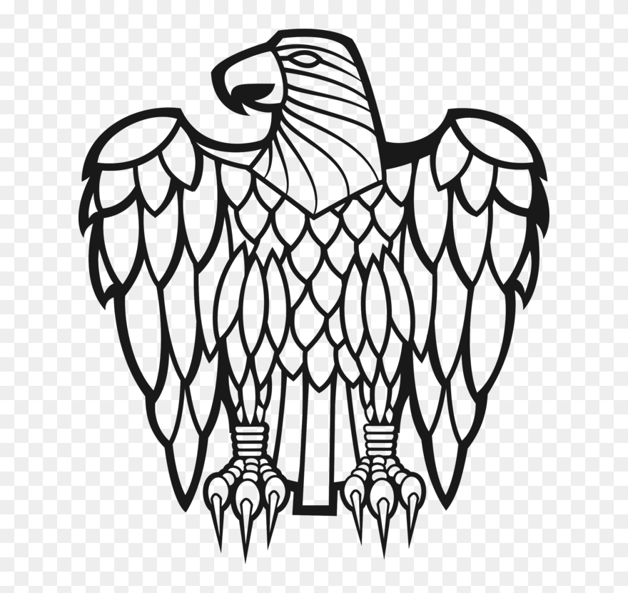 Dibujo Para Un Aguila Clipart