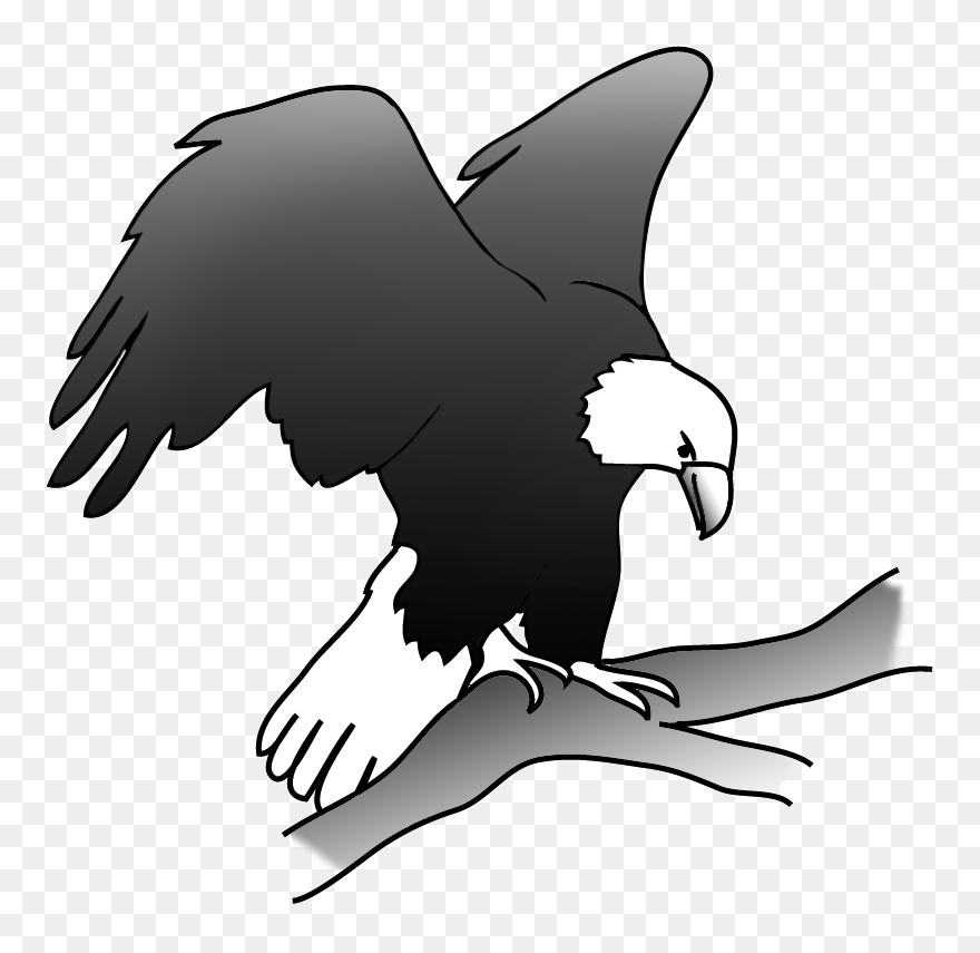Eagle On A Branch In A Tree - Draw A Eagle Sitting Clipart