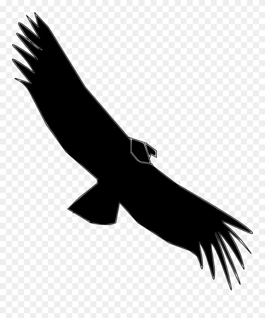 Andean Condor Clipart Svg Freeuse Library Turkey Cartoon - Condor Silhouette Transparent - Png Download