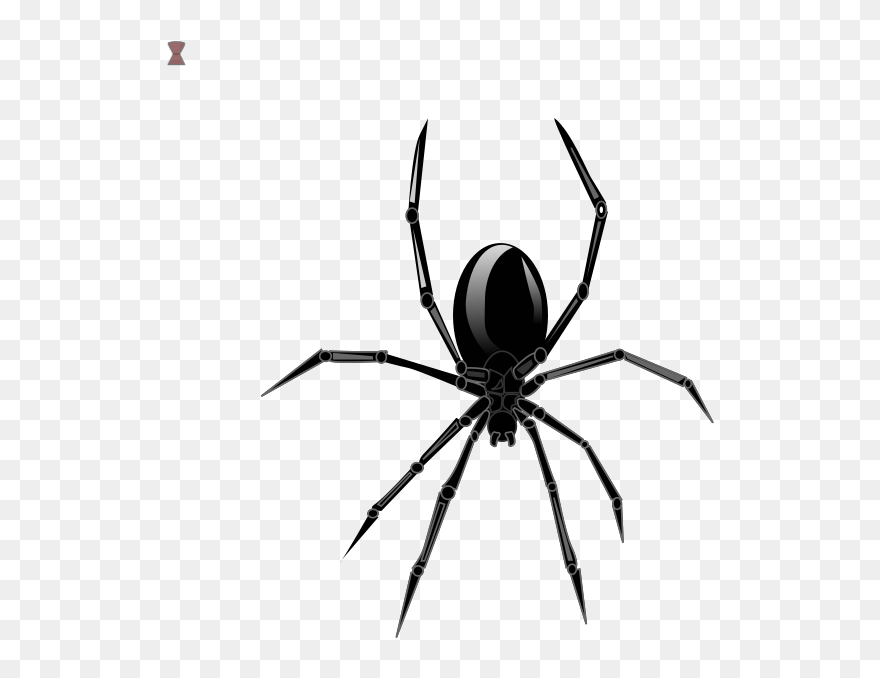 Widow Spider Clipart