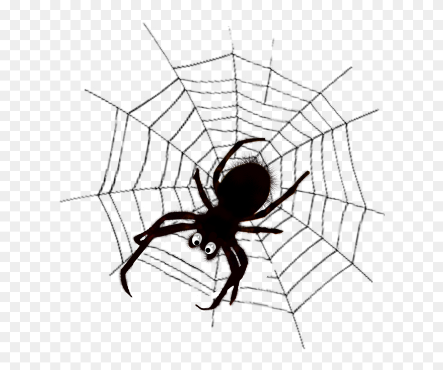 Spider Web Spider Silk Clip Art - Perspective Method For A Cube (after Jean Pélerin) - Png Download