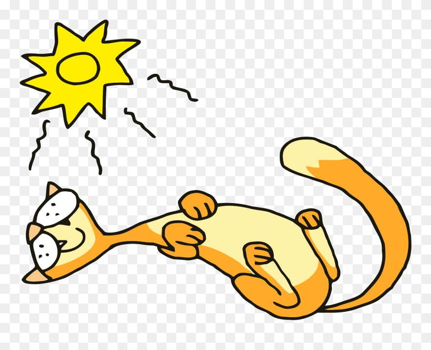 Cat Sleeping Png Clipart - Cat In Sun Clipart Transparent Png