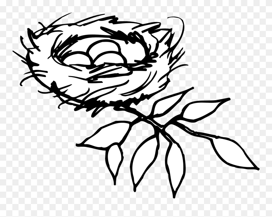 Birds Nest Clipart - Png Download