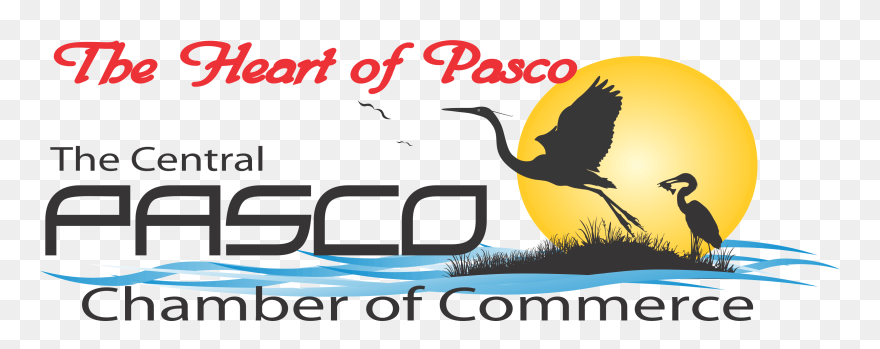 Wednesday Morning Networking Nov - Seabird Clipart