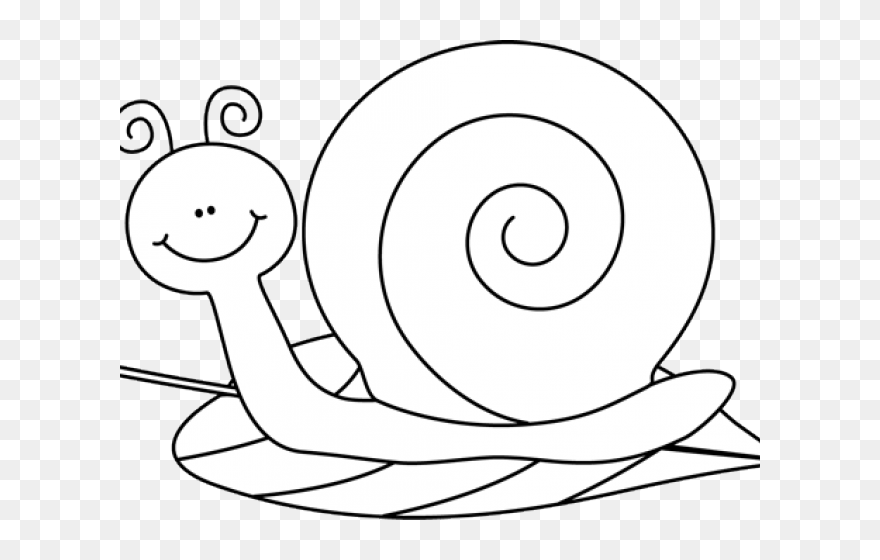 Snails Cliparts - Illustration - Png Download