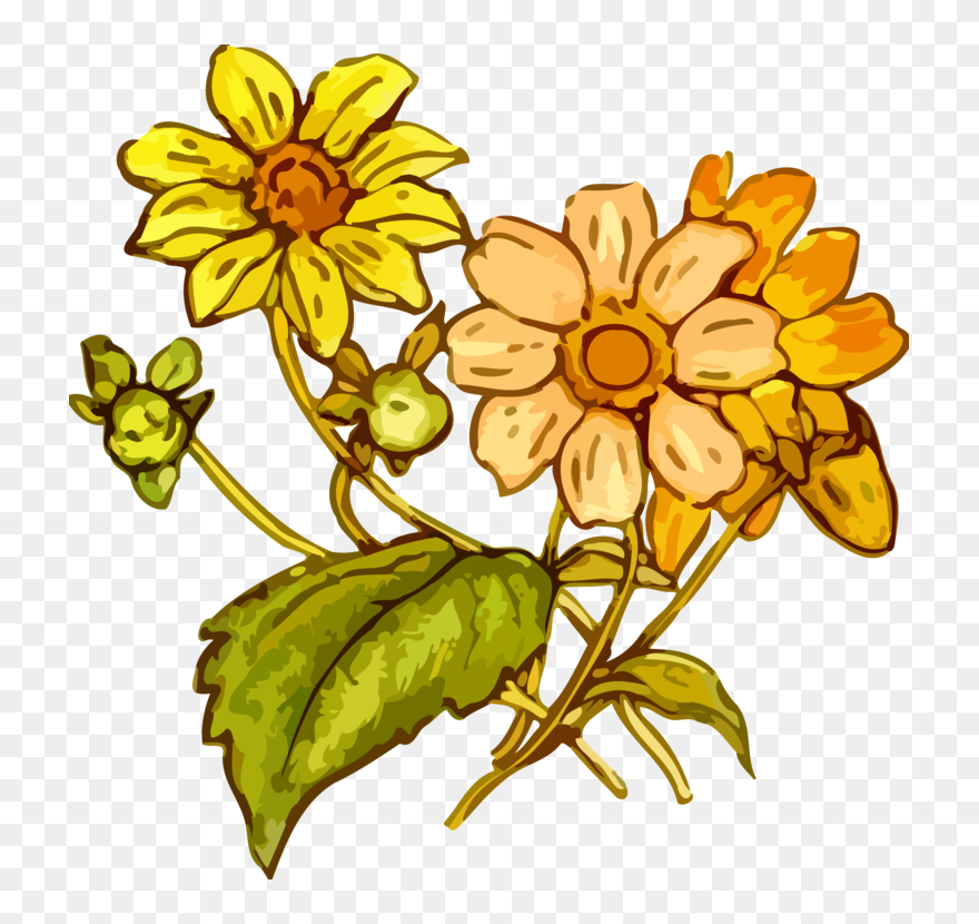 Sunflower Seed,plant,flora - Plantas Del Periodo Cretacico Clipart