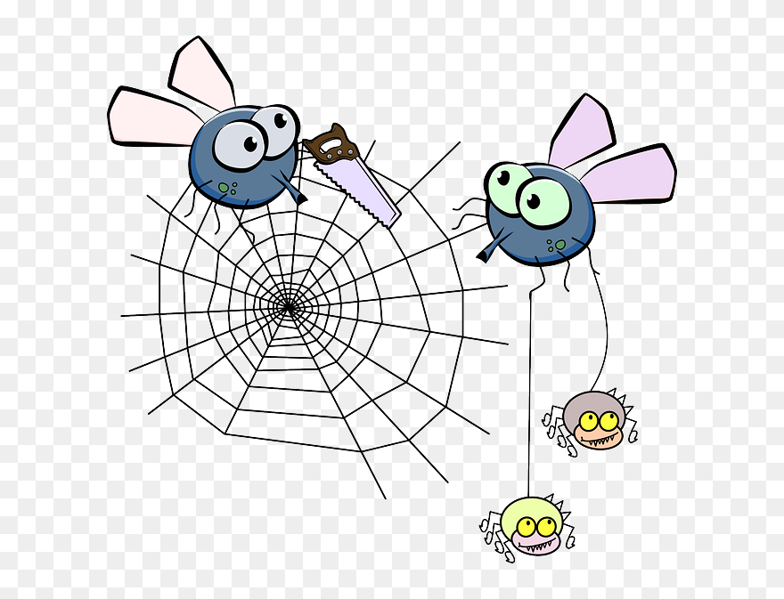 Flies, Mosquito, Spider, Insect, Spiderweb, Saw - Spider Web Clip Art - Png Download
