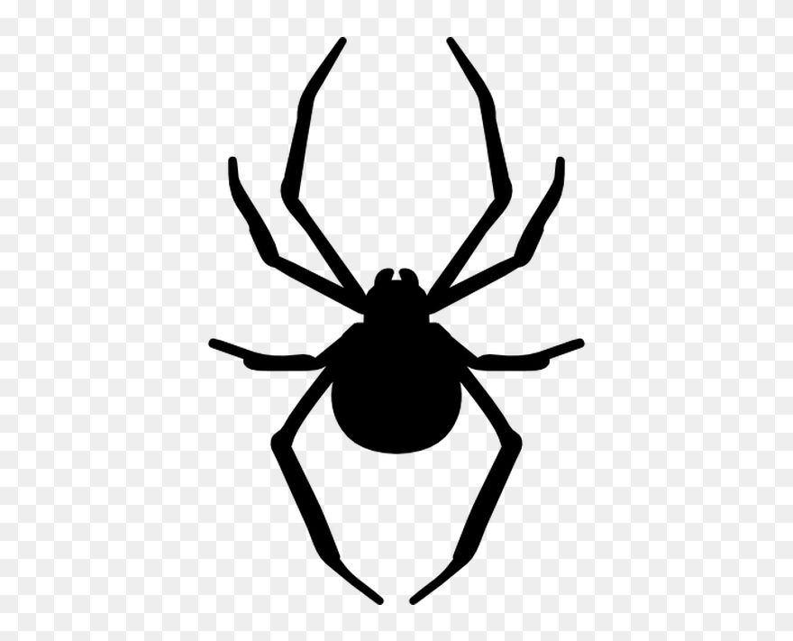 Spider Web Stencil Silhouette - Spider Stencil Clipart