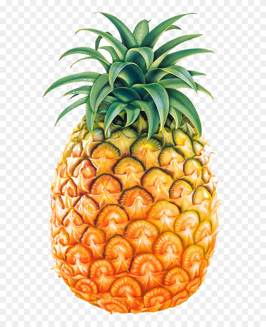 Transparent Fruit Ananas Pineapple Fruit Clipart For - Png Download