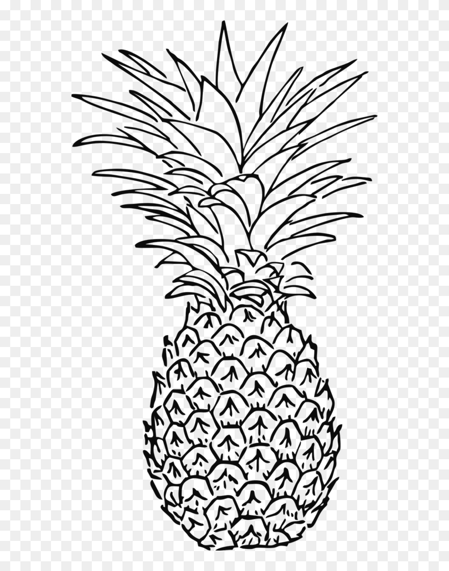 Transparent Leaf Plant Black And White Flower Clipart - Pineapple Image Black And White - Png Download