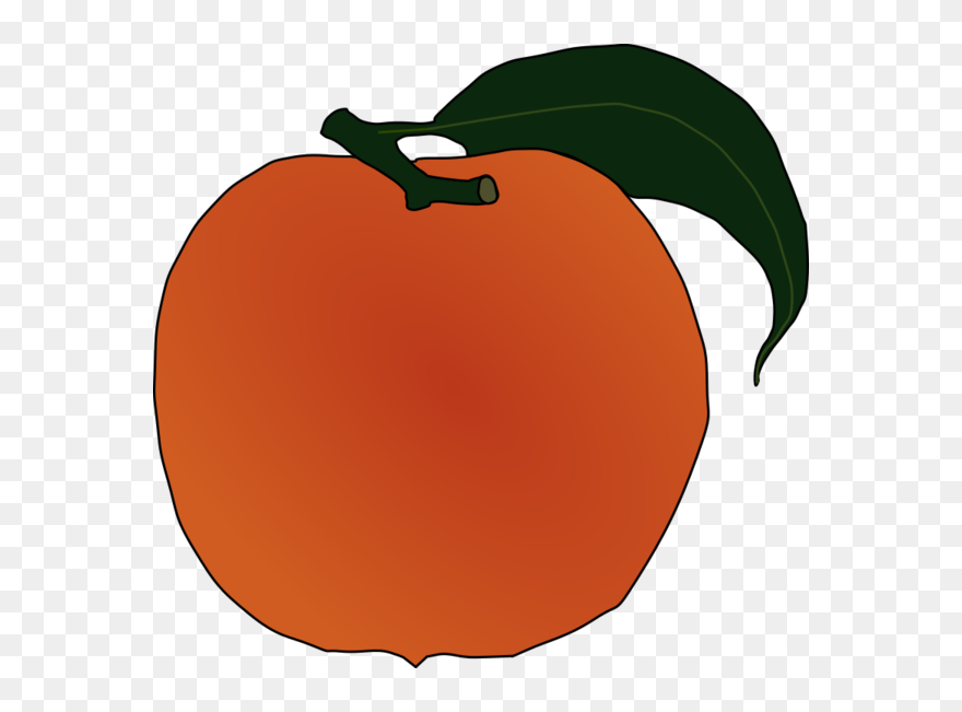 Transparent Fruit Fruit Food Apple Clipart For Food - Peach Clip Art - Png Download
