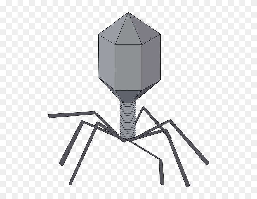 Virus - Virus Clip Art - Png Download