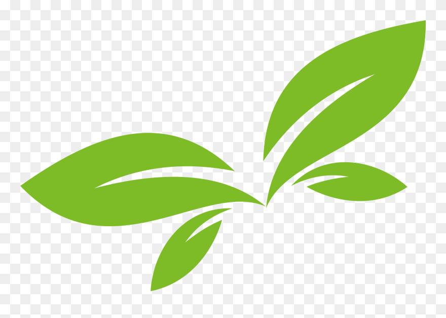 Botanical Vector Green Plant - Green Leaf Vector Png Clipart