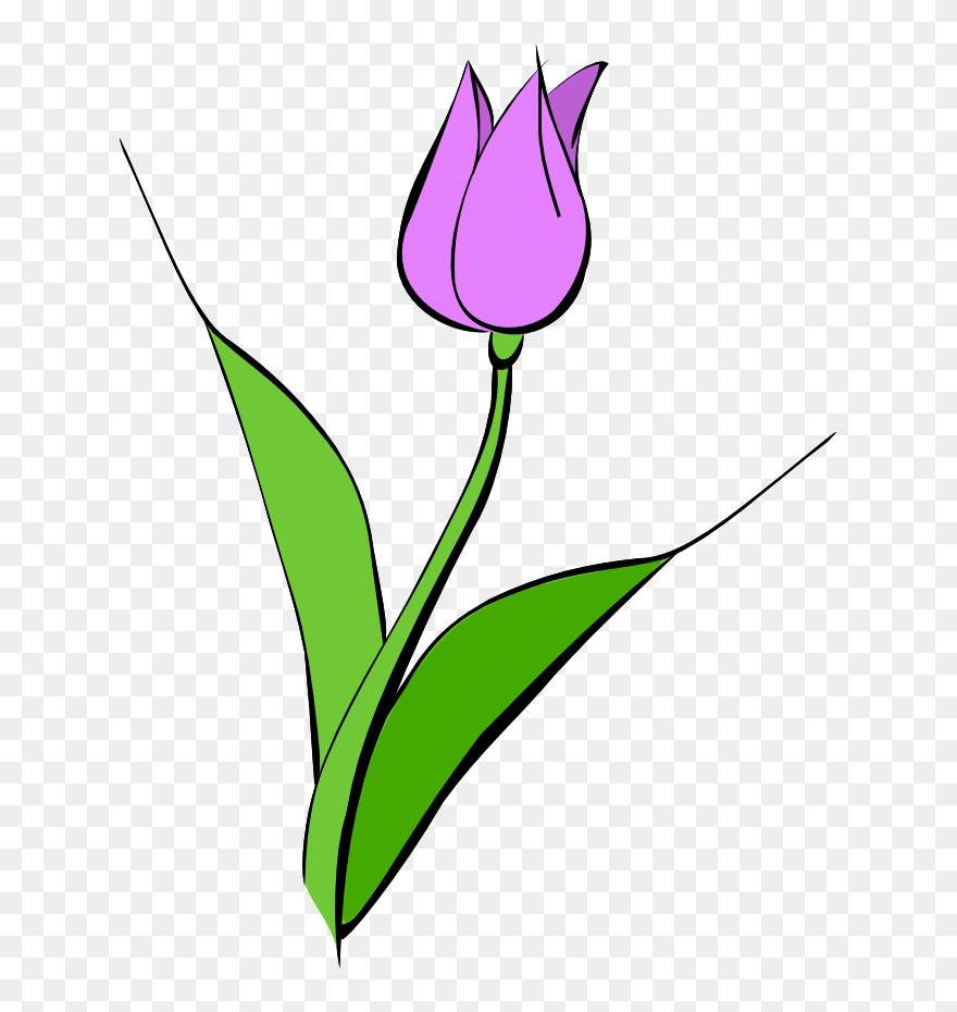 Purple Tulip Clip Art - Purple Tulips Clipart - Png Download