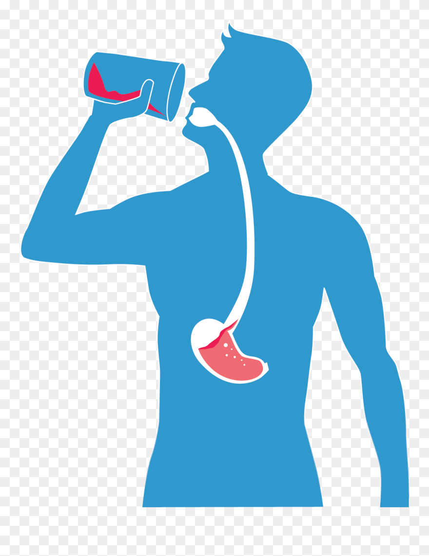 04 - Illustration Clipart
