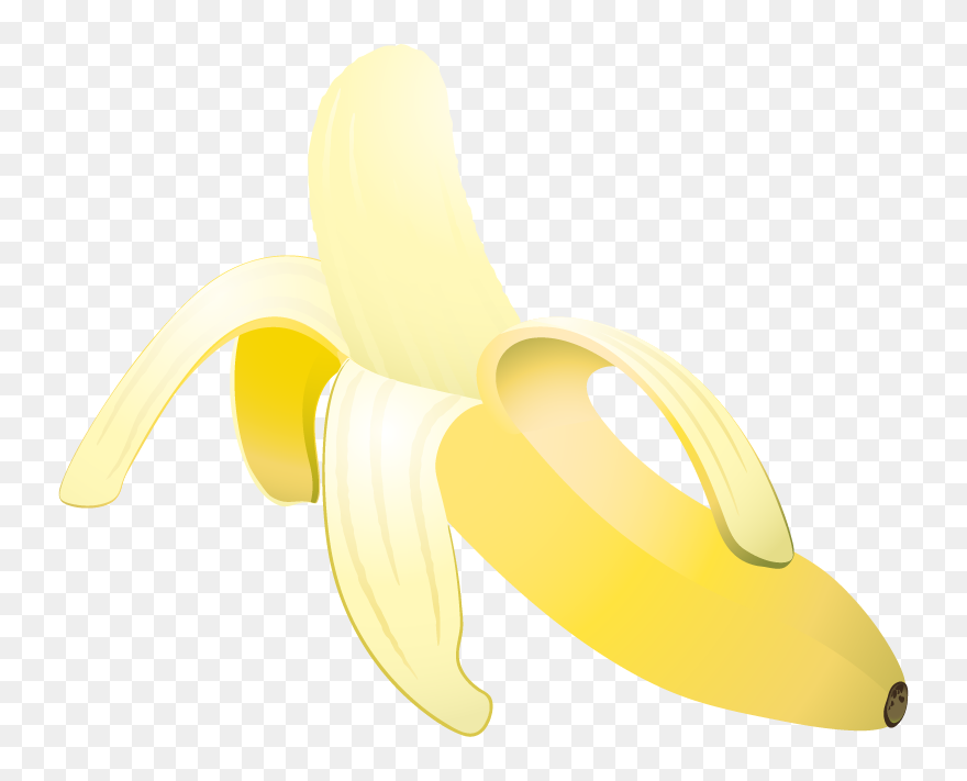 Still Life Photography Clipart