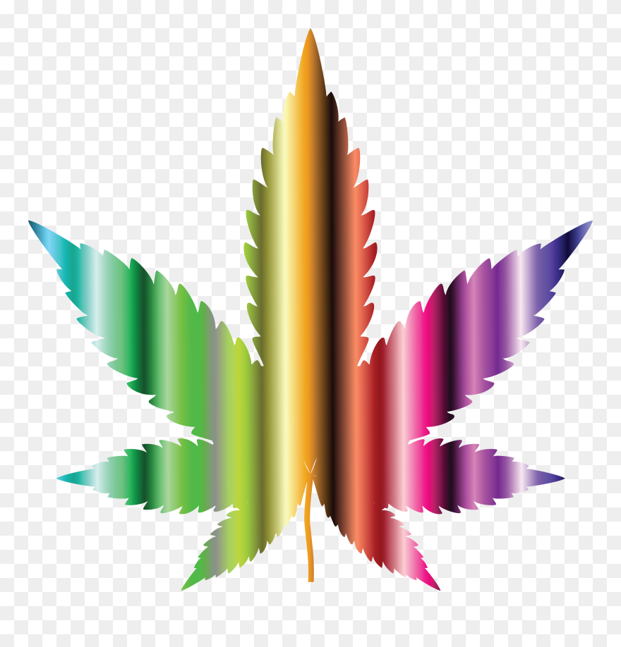 Transparent Real Weed Leaf Png - Marijuana Leaves Cut Out Clipart