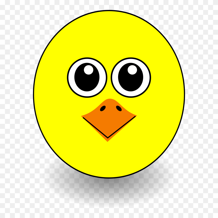 Funny Chick Face Cartoon - Bird Face Clipart - Png Download