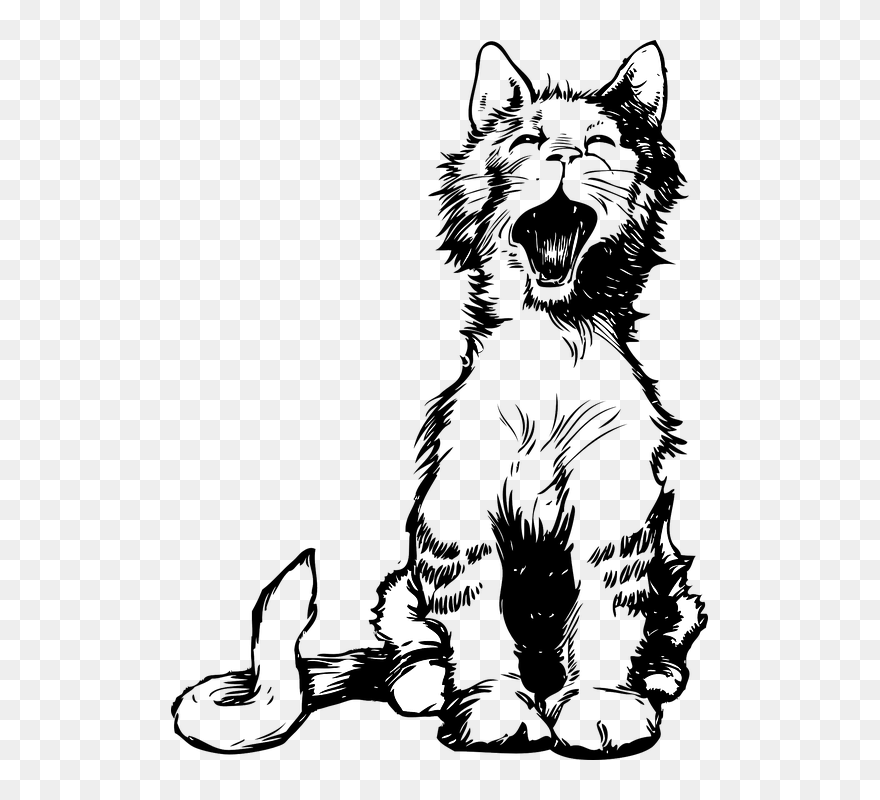 Kittens Clipart Cat Meow For Free Download And Use - Meowing Cat Vector - Png Download
