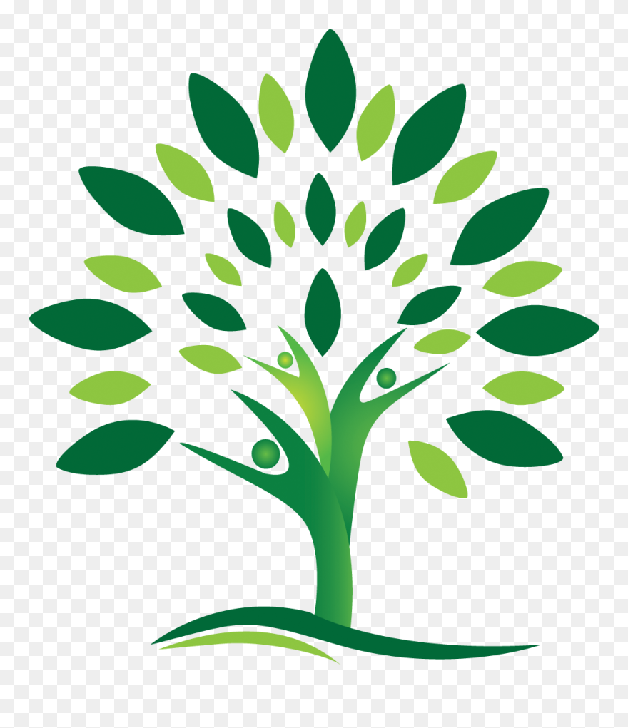 Arbre De La Connaissance Clipart