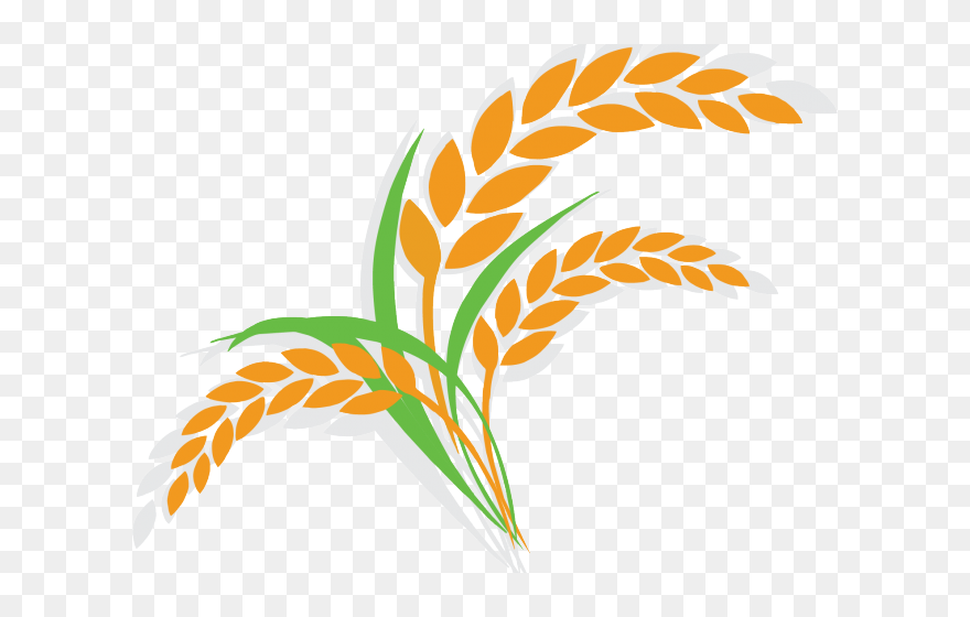 Rice Plant Clipart Png Transparent Png