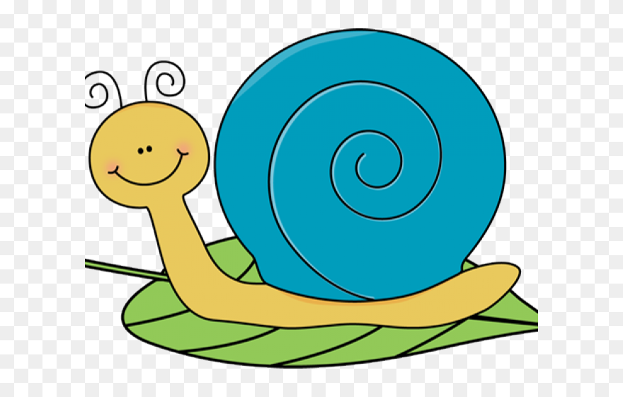 Snail Clipart Transparent Background - Png Download