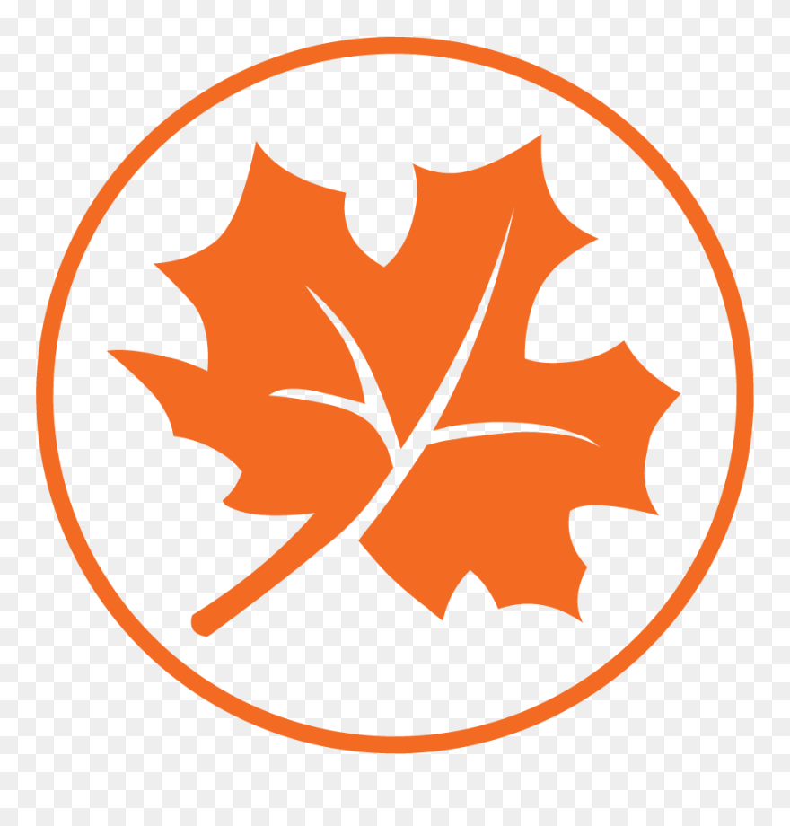 Nový Zéland Roční Období Clipart