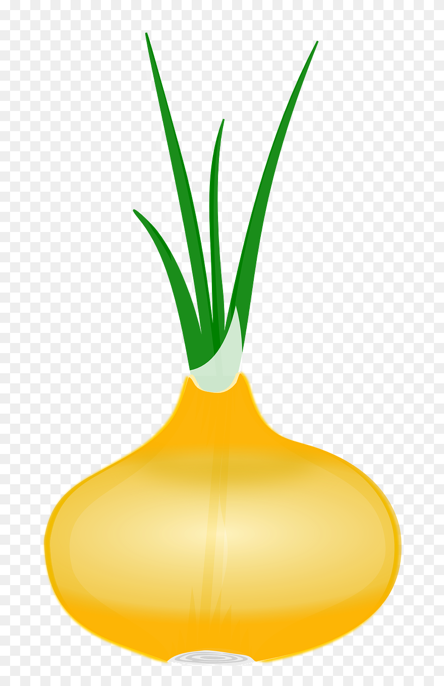 Vector Graphics,free Pictures, Free Photos, Free Images, - Onion Clip Art - Png Download