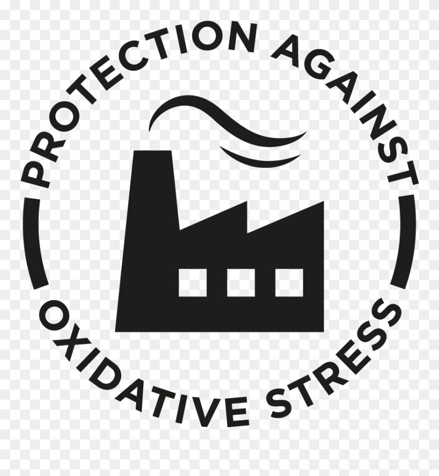 Graphic Design Clipart