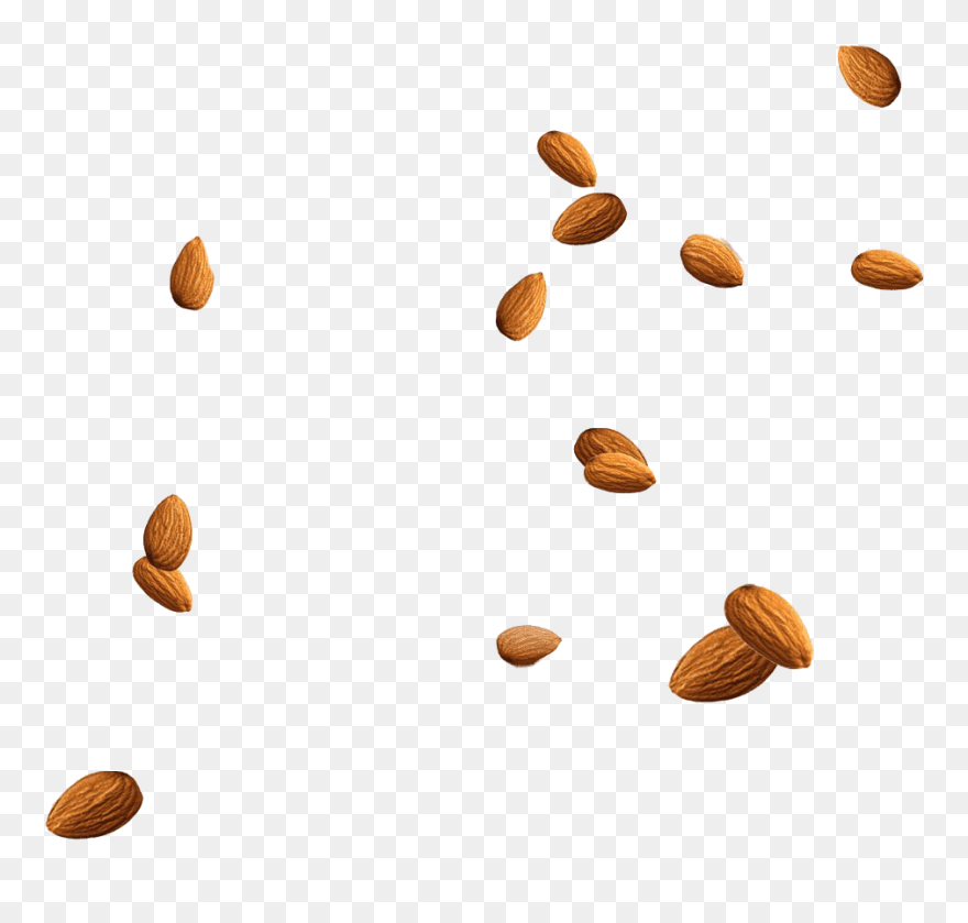 Almond Nuts Png Clipart - Almonds Png Transparent Png