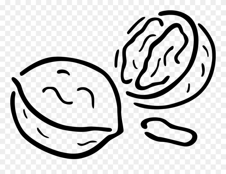 Transparent Walnut Clipart - Walnut Clipart Black And White Png