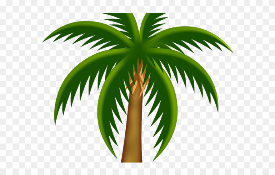 Palm Tree Clip Art - Png Download