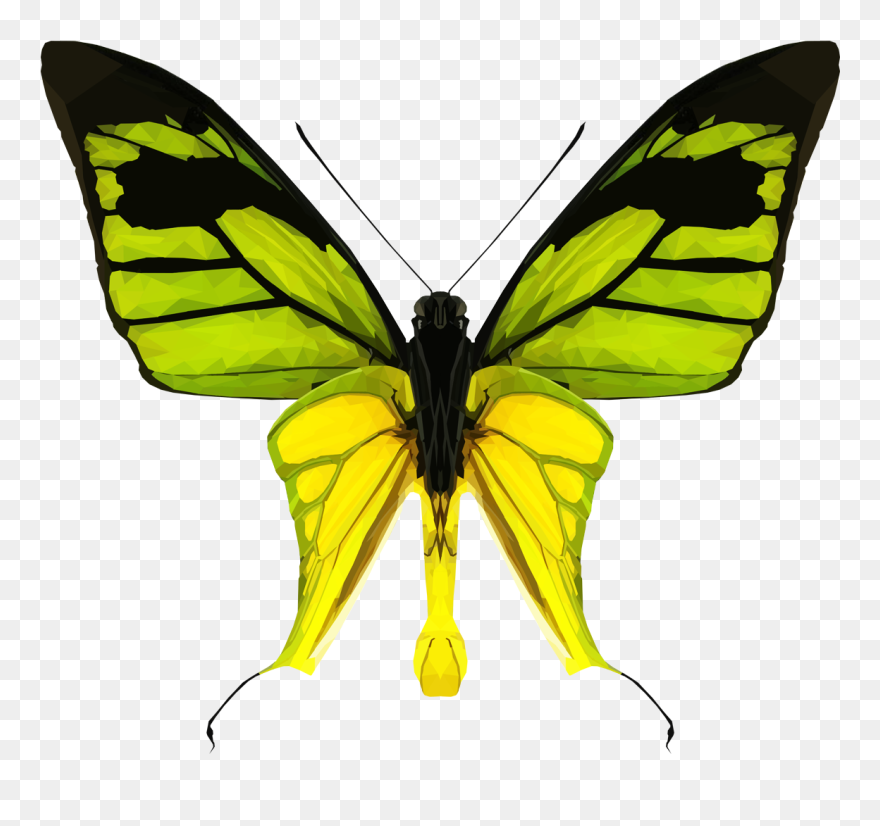 Monarch Butterfly Sticker Clipart