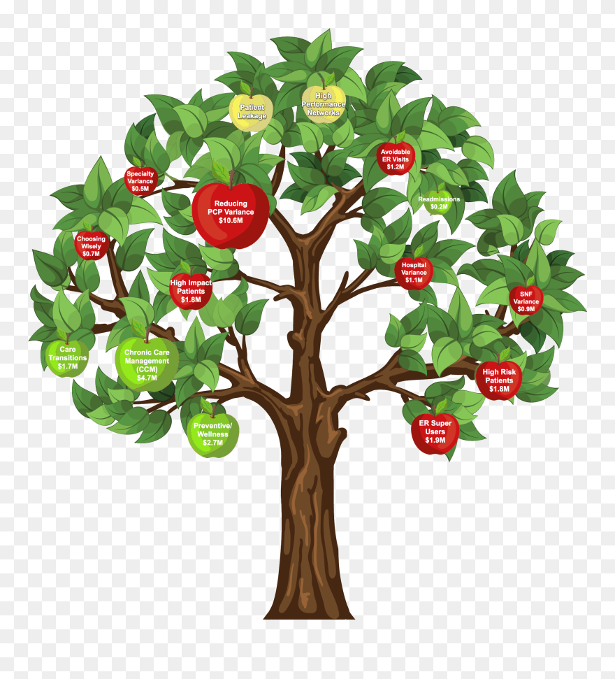 Tree Of Opportunities Clipart