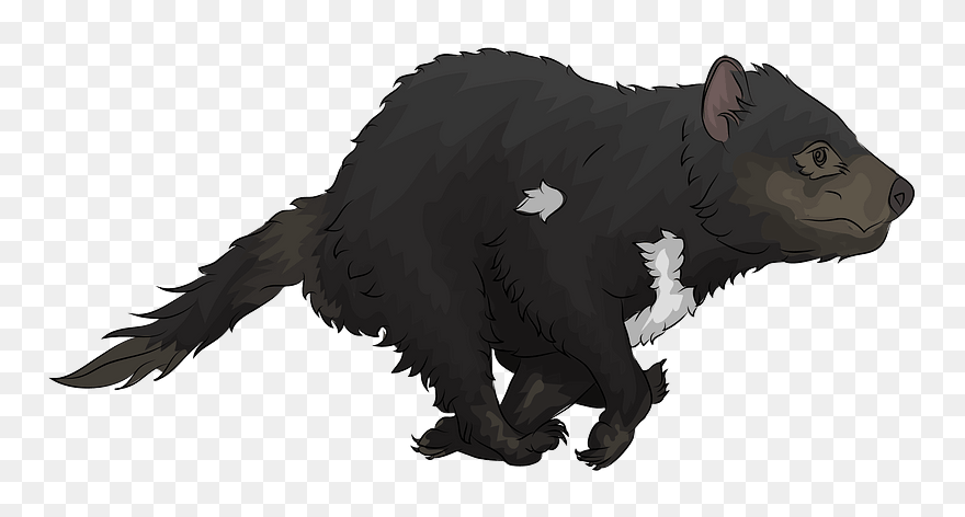 Tasmanian Devil Clipart - Tasmanian Devil - Png Download