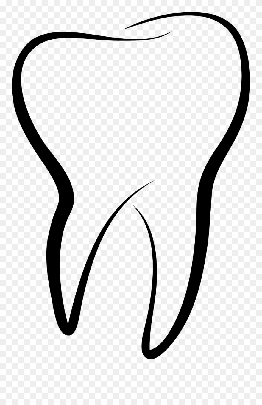 Icon Tooth Png Clipart