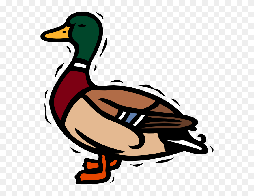 Ducks Clipart Transparent Background, Ducks Transparent - Duck Clipart Transparent Background - Png Download
