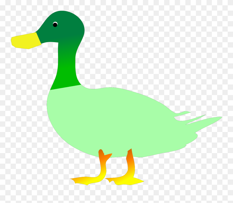 Mallard Clipart