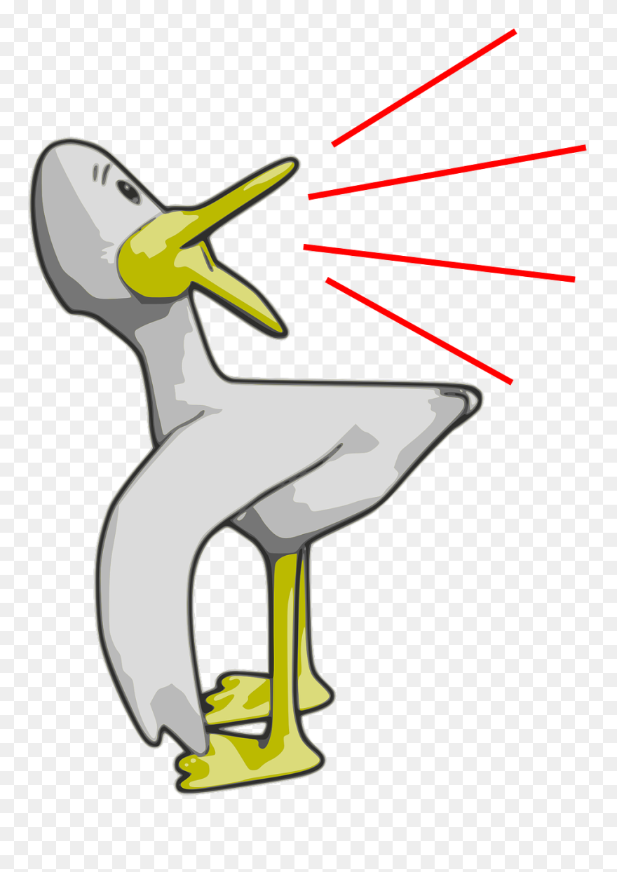Quack Clip Art - Png Download