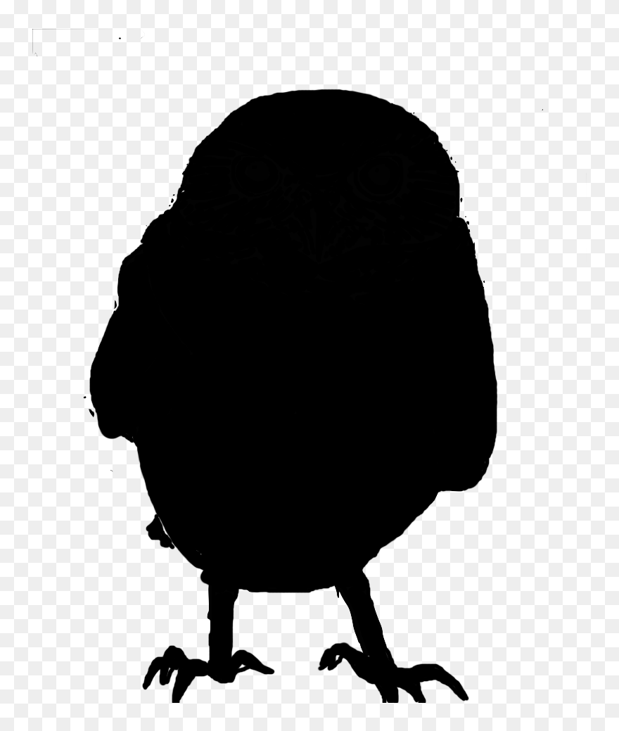 Beak Silhouette Clip Art Landfowl - Buzzard - Png Download
