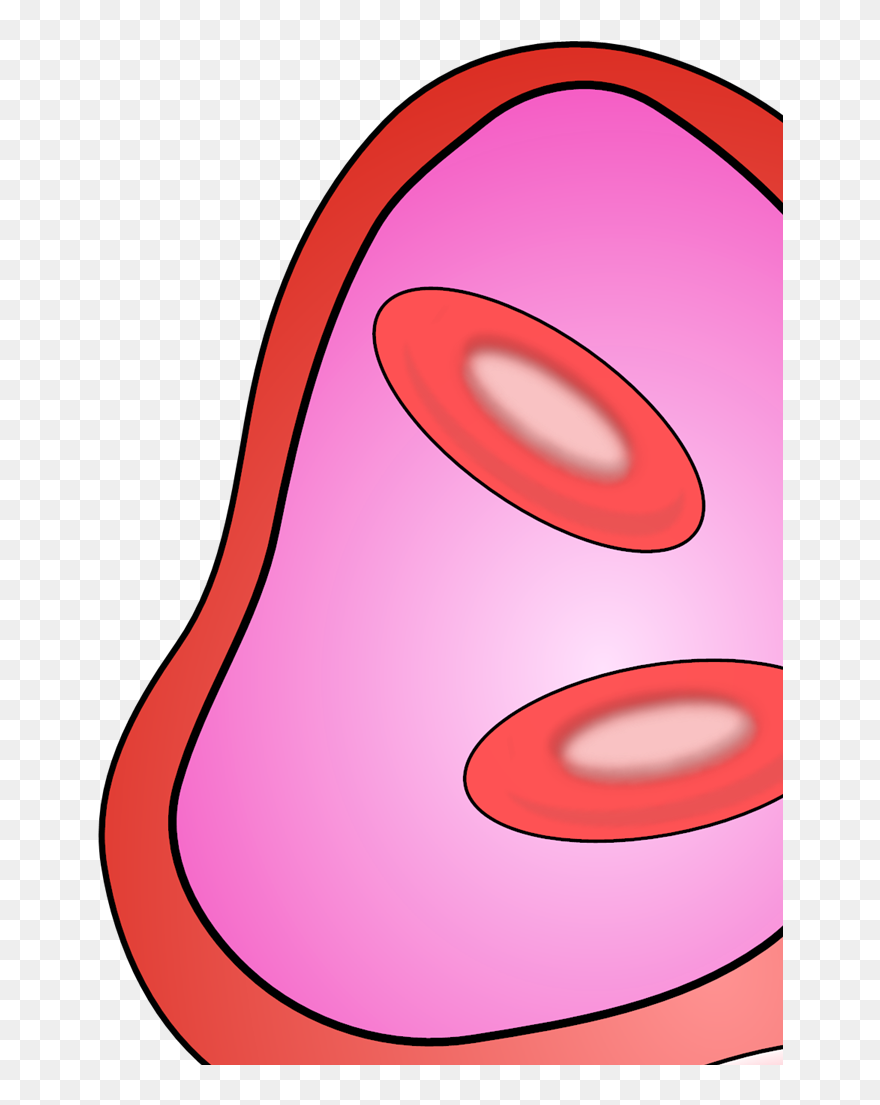 Clip Art - Png Download