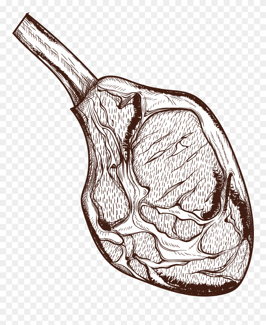 Steak Meat Image - Sketch Clipart